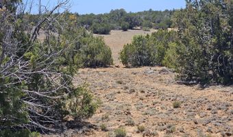 ACR N8388 and N8385, Concho, AZ 85924