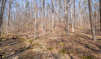 163 Acres Duck Springs Rd, Attalla, AL 35954