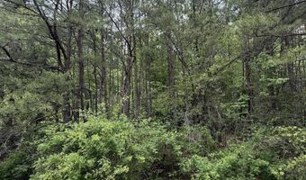 Ashland Camp Loop lot 164, Beattyville, KY 41311