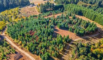 NW LODGE Rd, Banks, OR 97106