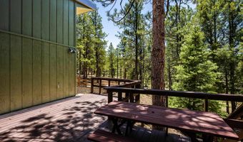 253 Saladon Rd, Angel Fire, NM 87710