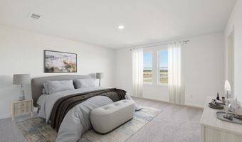 10644 Harlequinn Plan: Ross, Adkins, TX 78101