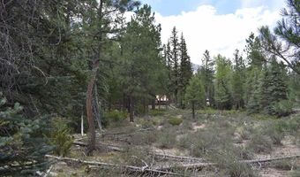 264 Ponderosa Homes Rd, Bayfield, CO 81137