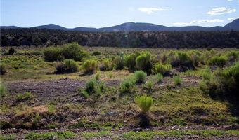 Duck Creek Development Road, Ely, NV 89301