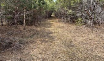 5280 Cathro Rd, Alpena, MI 49707