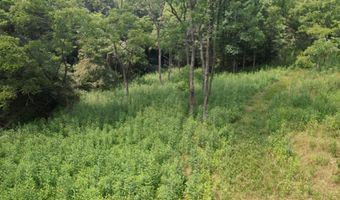 Hall Hollow Road, Austinville, VA 24312