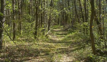 Steve Brown Road, Bean Station, TN 37708