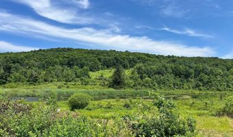 0 Woodland Hills Rd, Andes, NY 13731