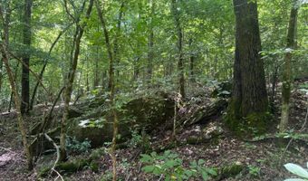 0 Cedar Ln, Alexander City, AL 35010