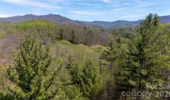Mitchell Avenue, Bakersville, NC 28705