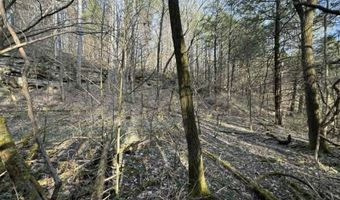 5 Acres Hwy 415, Albany, KY 42602