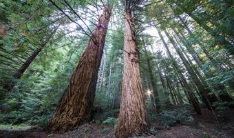 1107 WINCHUCK RIVER Rd, Brookings, OR 97415