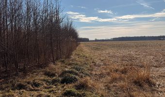 BLACK SWAMP ROAD, Felton, DE 19943