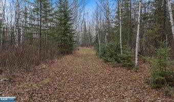 TBD Lane 55 County Road 341, Aurora, MN 55705