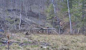 295 Shellstone Rd, Amsterdam, NY 12010