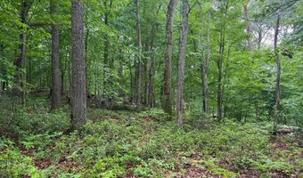 TR D-15 DEER PATH Road, Augusta, WV 26704