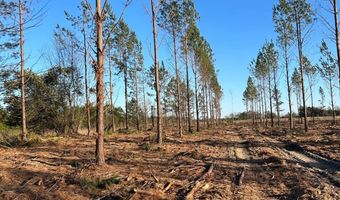 003 Old Camden Rd 3, Bishopville, SC 29010