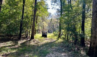 0 Lloyd Mill Rd, Andalusia, AL 36421