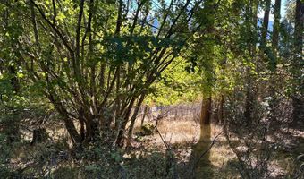 L19 & L20 N TERRACE Dr, Bayview, ID 83803