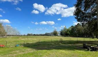 10 SW 50th Ave, Bell, FL 32619