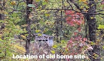 Bandy Rd / Whitaker Ridge Area, Bandy, VA 24602