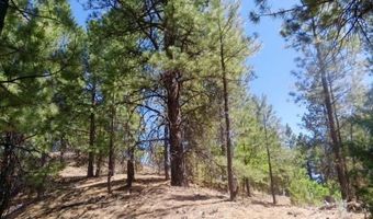 1430 W Elk Ridge Dr, Alton, UT 84710