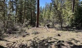 Horned Owl Lane, Bonanza, OR 97623