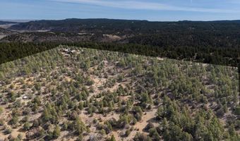 23370 Apishapa Ln, Aguilar, CO 81020