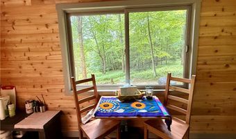 253 Davis Hollow Rd, Andes, NY 13731