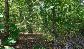 14600 Canyon Road Lot 8 & 9, Bella Vista, AR 72715