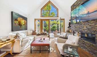 914 E Cooper Ave, Aspen, CO 81611