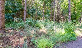 Scravel Hill RD, Albany, OR 97322