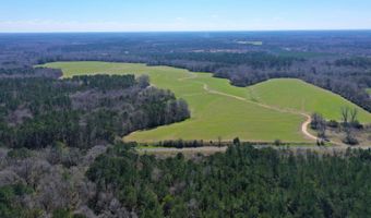 0 Tervin Mill Rd, Andalusia, AL 36421