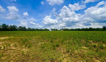 0 N County Rd. 75, Ashford, AL 36312