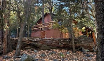 12 Barton Flats Rd, Angelus Oaks, CA 92305