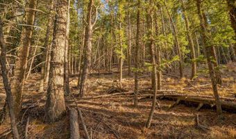 El Camino Real lot 35, Angel Fire, NM 87710
