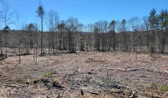 Lot 6 Eagle Pond Road 6, Andover, NH 03216