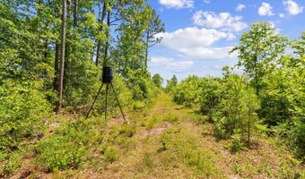 5840 Green Swamp Rd NW, Ash, NC 28420