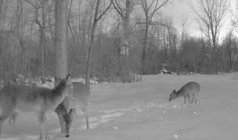 8516 Warner St, Allendale, MI 49401
