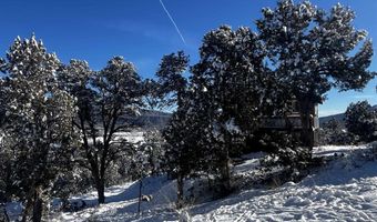 192 Pinon Hills Dr, Arboles, CO 81121