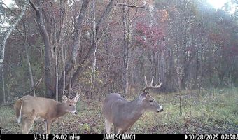 0 W Captina Highway Rd, Alledonia, OH 43902