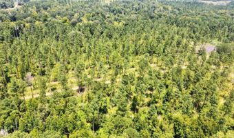 1 Prentiss Crump Rd, Terry, MS 39170