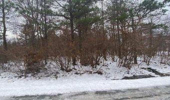 Spruce Lane, Albrightsville, PA 18210