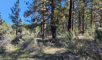 Jaguar Lane Lot 29, Bonanza, OR 97623
