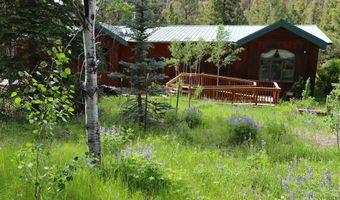 11109 County Road 742, Almont, CO 81210