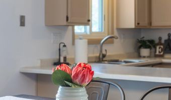 530 E MITCHELL Ave, Appleton, WI 54915