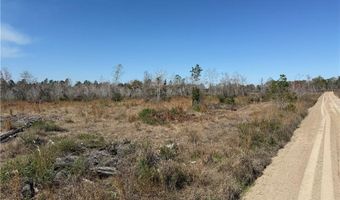 0 35.01 Acres Bacon School Rd, Alma, GA 31510