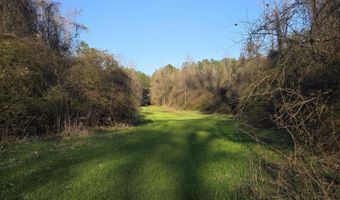 U.S. Highway 51, Bogue Chitto, MS 39629