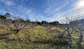 18250 RAVENSWOOD Rd, Altoona, FL 32702
