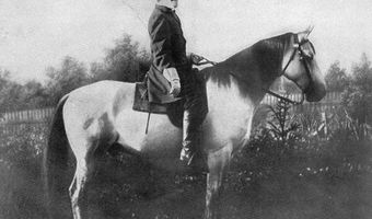 3789 Spring Valley Rd, Alderson, WV 24910